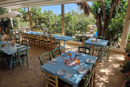 La paloma